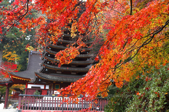 日本の風景 日本風景11