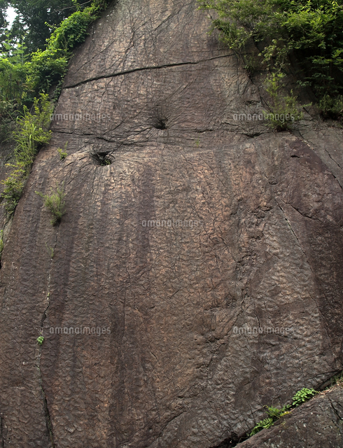 地学教材 恐竜足跡化石の露頭 群馬県神流 かんな 町 の写真素材 イラスト素材 アマナイメージズ