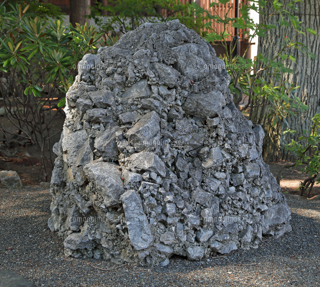 地学教材】 北海道神宮のさざれ石[10738006817]の写真・イラスト素材