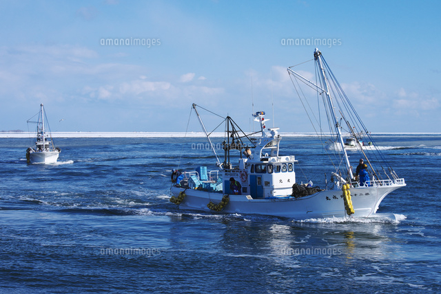尾岱沼漁港に帰港するホタテ船と野付湾[10740002781]の写真・イラスト