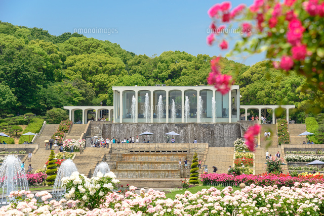 須磨離宮公園 の写真素材 イラスト素材 アマナイメージズ