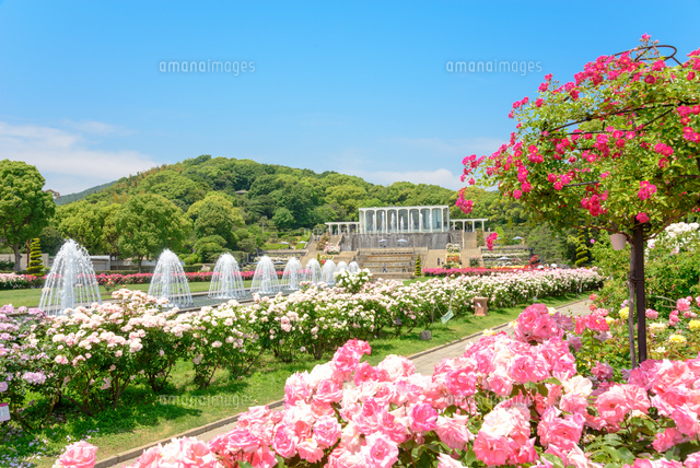 須磨離宮公園 の写真素材 イラスト素材 アマナイメージズ