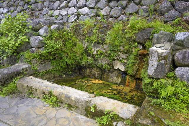 坂本龍馬 お龍 湯治の温泉跡 の写真素材 イラスト素材 アマナイメージズ