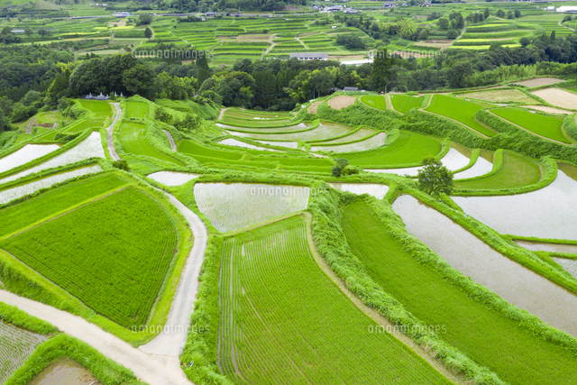 尾戸の口棚田 の写真素材 イラスト素材 アマナイメージズ