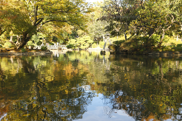 有栖川宮記念公園 紅葉 の写真素材 イラスト素材 アマナイメージズ