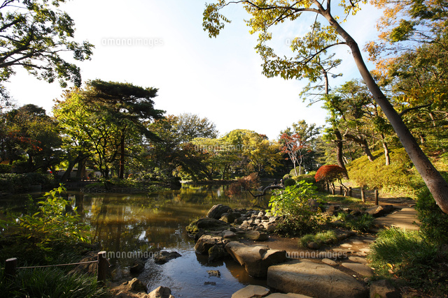 有栖川宮記念公園 紅葉 の写真素材 イラスト素材 アマナイメージズ