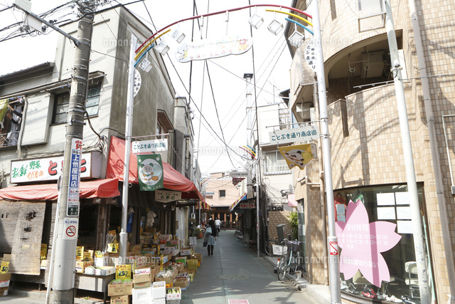 寿通り商店街 の写真素材 イラスト素材 アマナイメージズ