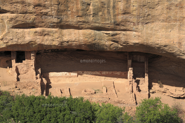 メサ ベルデ国立公園インディアン洞窟住居 の写真素材 イラスト素材 アマナイメージズ