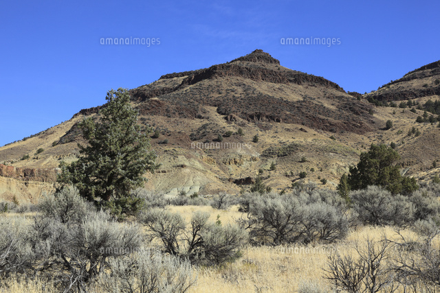 ジョン デイ化石層国定公園のシープ ロック ユニット の写真素材 イラスト素材 アマナイメージズ