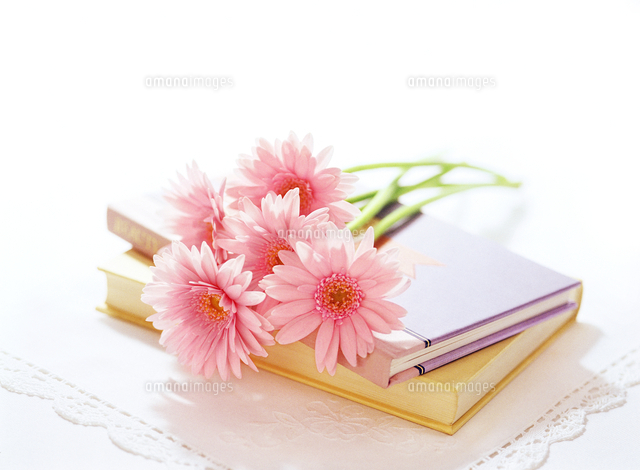 本とガーベラ の写真素材 イラスト素材 アマナイメージズ