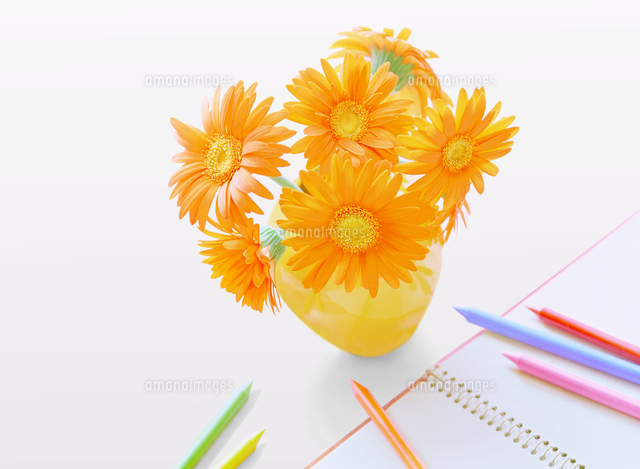 No: PIXTA | 3本のガーベラの花水彩画イラスト花素材 ガーベラ3本の