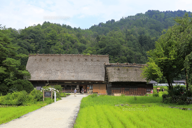 白川郷の合掌造り民家 の写真素材 イラスト素材 アマナイメージズ
