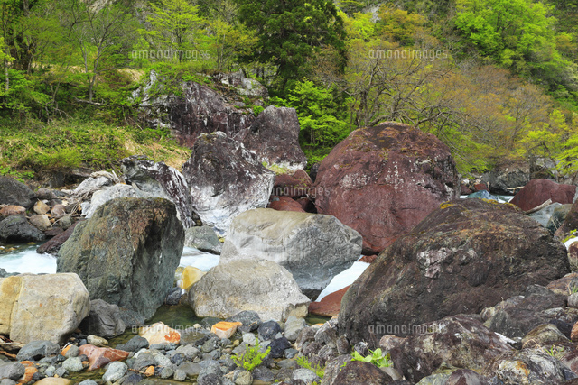 慶様 小滝川ヒスイ峡近く 天然石 庭石 景石 まとめ売り 慶様 小滝川