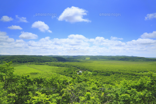 夢ヶ丘展望台から望む釧路湿原 の写真素材 イラスト素材 アマナイメージズ