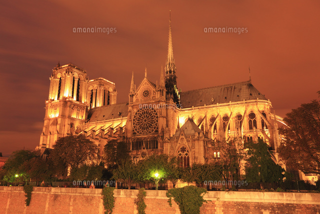 ノートルダム大聖堂の夜景[10769001950]の写真・イラスト素材｜アマナ