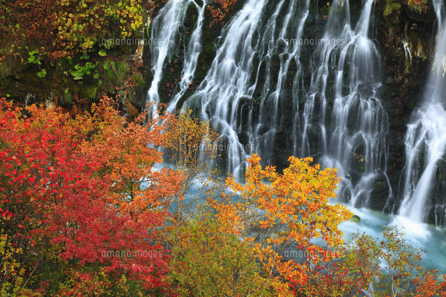 白髭の滝と紅葉[10769003631]の写真・イラスト素材｜アマナイメージズ