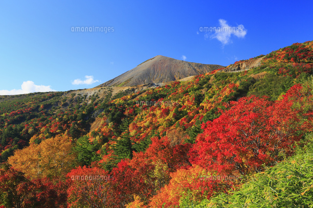 磐梯吾妻スカイライン 天狗の庭の紅葉と吾妻小富士 の写真素材 イラスト素材 アマナイメージズ