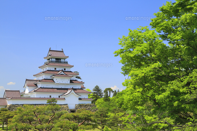 鶴ヶ城と新緑 の写真素材 イラスト素材 アマナイメージズ