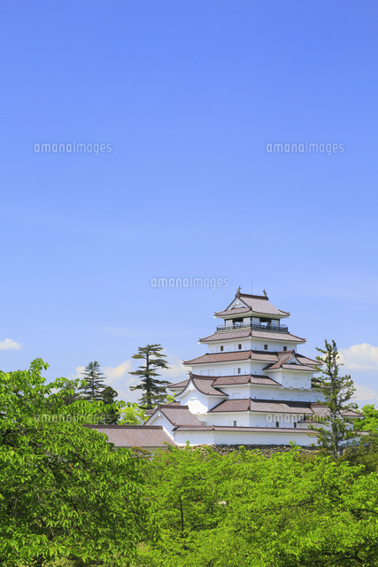 鶴ヶ城と新緑 の写真素材 イラスト素材 アマナイメージズ