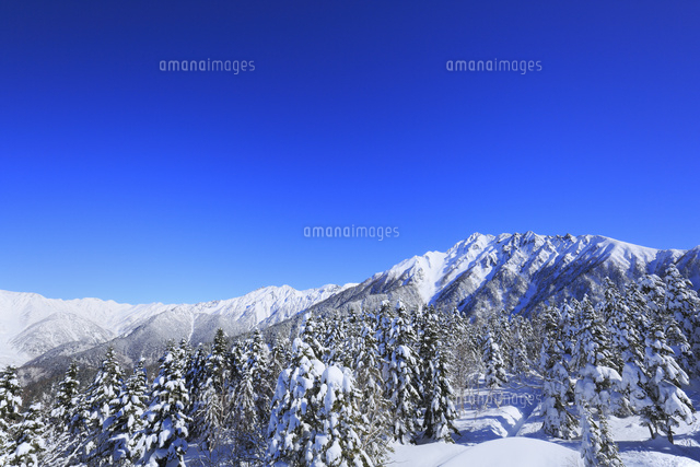 西穂高口駅屋上展望台から望む雪景色の北アルプス[10769005931