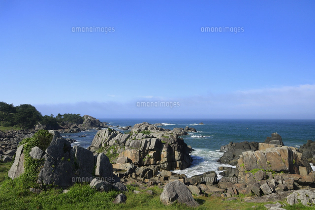 種差海岸 青森県 八戸市[10769007882]の写真・イラスト素材