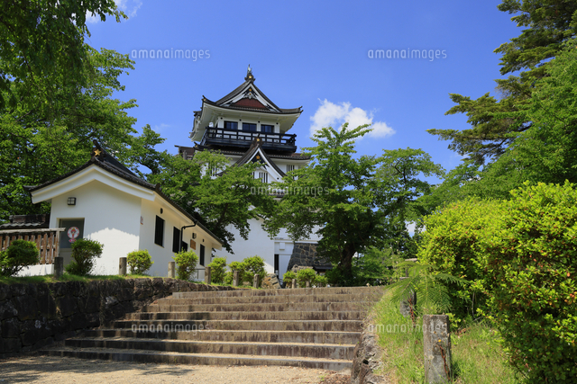 横手城の天守閣 秋田県 横手市[10769016780]の写真・イラスト素材
