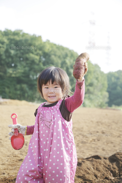 芋掘りで芋を持つ幼児 の写真素材 イラスト素材 アマナイメージズ