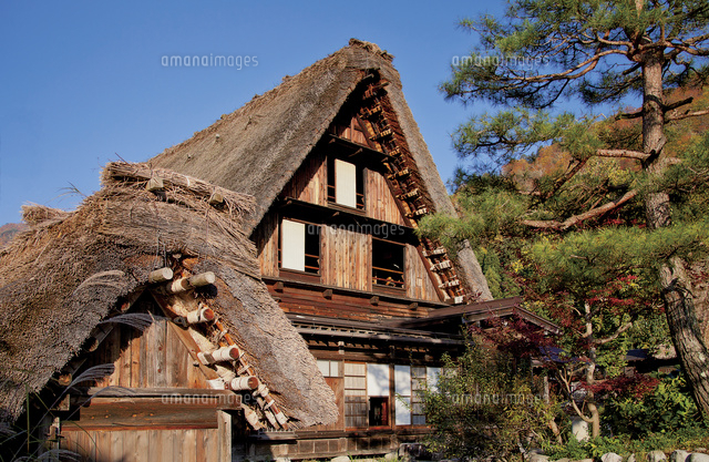 紅葉の白川郷 合掌造り集落 の写真素材 イラスト素材 アマナイメージズ