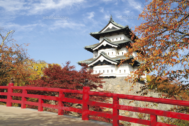 紅葉の弘前城 の写真素材 イラスト素材 アマナイメージズ
