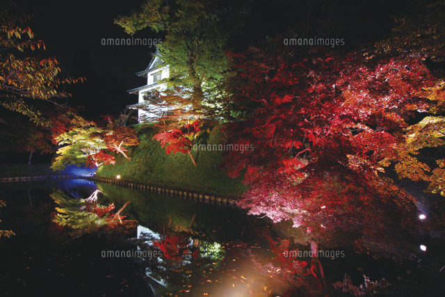 紅葉彩る弘前城ライトアップ の写真素材 イラスト素材 アマナイメージズ 紅葉彩る弘前城ライトアップ の写真素材 イラスト素材 アマナイメージズ