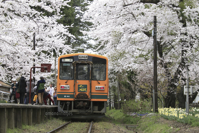 津軽鉄道 走れメロス号 の写真素材 イラスト素材 アマナイメージズ