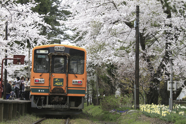 津軽鉄道 走れメロス号 の写真素材 イラスト素材 アマナイメージズ