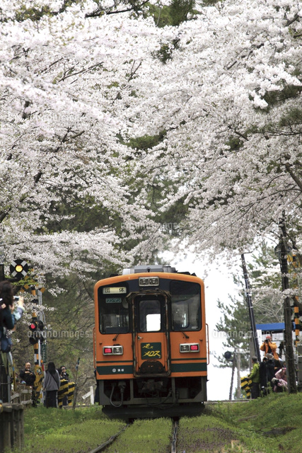 津軽鉄道・走れメロス号[10790007765]の写真・イラスト素材｜アマナ