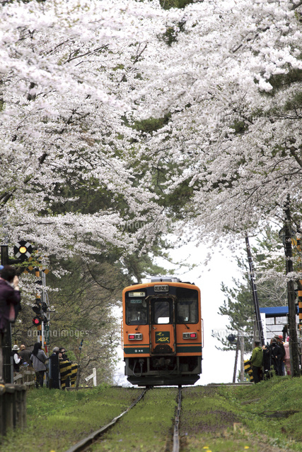 津軽鉄道 走れメロス号 の写真素材 イラスト素材 アマナイメージズ