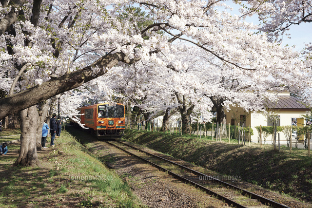 津軽鉄道 走れメロス号 の写真素材 イラスト素材 アマナイメージズ