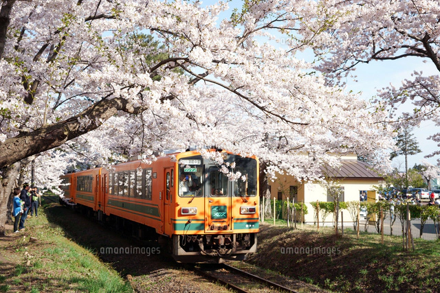 津軽鉄道・走れメロス号[10790007743]の写真・イラスト素材｜アマナ