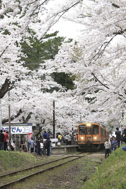津軽鉄道・走れメロス号[10790007763]の写真・イラスト素材｜アマナ