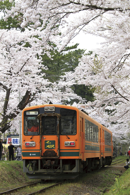 津軽鉄道・走れメロス号[10790007765]の写真・イラスト素材｜アマナ