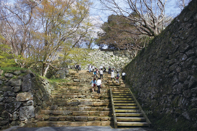 鶴山公園で催される津山さくらまつり[10790008122]の写真・イラスト