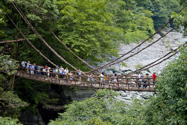 祖谷川に架かる祖谷のかずら橋 の写真素材 イラスト素材 アマナイメージズ