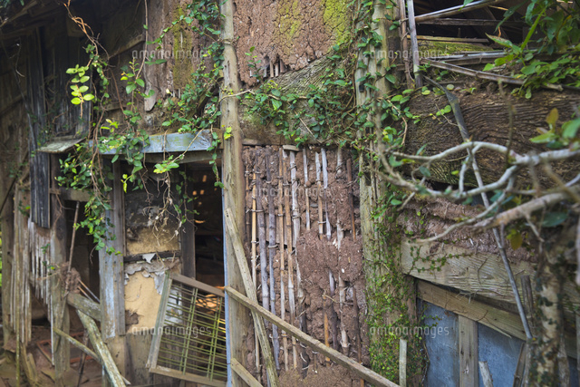 野崎島 旧野崎集落 廃屋の壁 の写真素材 イラスト素材 アマナイメージズ