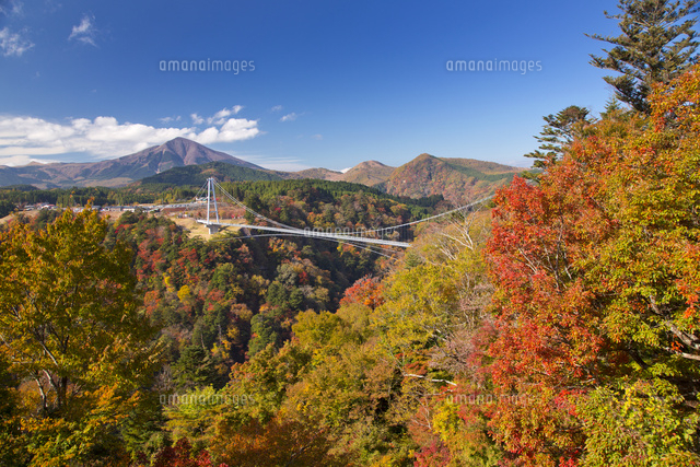 紅葉映える九重夢大吊橋 の写真素材 イラスト素材 アマナイメージズ