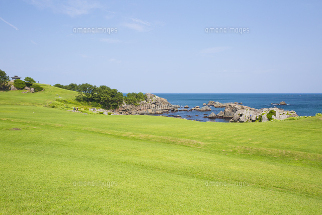 種差海岸にて種差天然芝生地の風景 10790012449 の写真素材 イラスト素材 アマナイメージズ