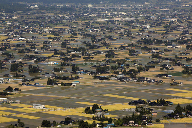 となみ夢の平散居村展望台より散居村を眺める の写真素材 イラスト素材 アマナイメージズ