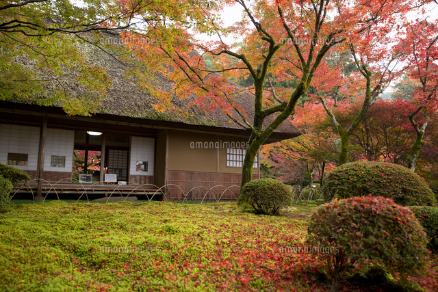 紅葉の美しい九年庵 の写真素材 イラスト素材 アマナイメージズ