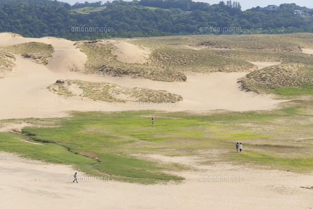 広大な鳥取砂丘の風景 の写真素材 イラスト素材 アマナイメージズ