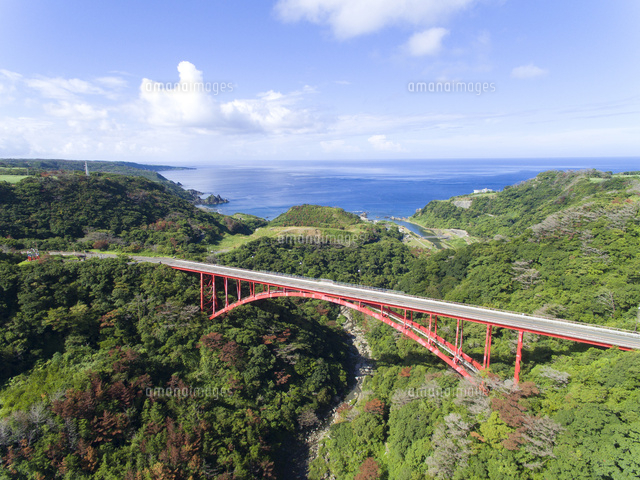 険しい山中に架かる天城大橋[10790014458]の写真・イラスト素材