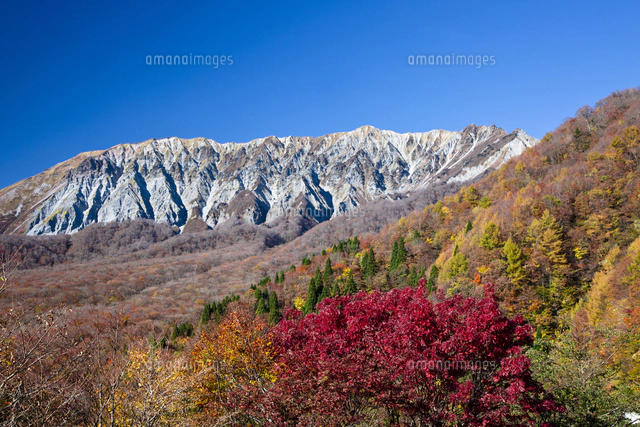 鍵掛峠から望む紅葉の大山[10790017113]の写真・イラスト素材｜アマナ