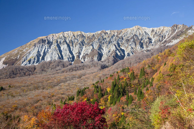 鍵掛峠から望む紅葉の大山[10790017113]の写真・イラスト素材｜アマナ