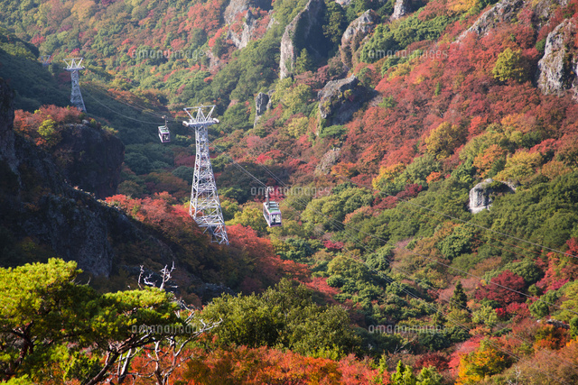 紅葉の中の寒霞渓ロープウェイ の写真素材 イラスト素材 アマナイメージズ